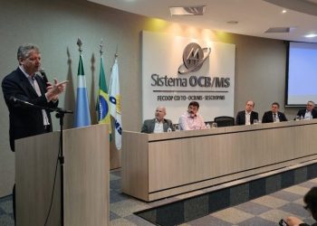 Processo de abertura de empresas em MS agora pode ser feito pelo WhatsApp