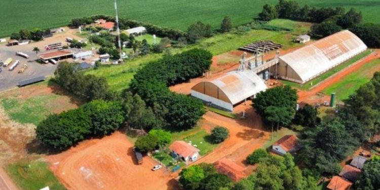 Chapadão do Sul e Costa Rica ganham novas unidades de recebimento de grãos com expansão de cooperativa