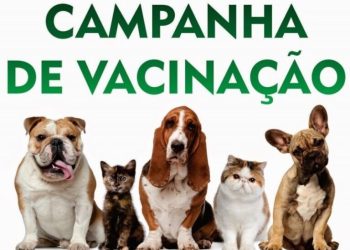 Vacinação antirrábica em Chapadão do Sul começa neste sábado com ações em três etapas