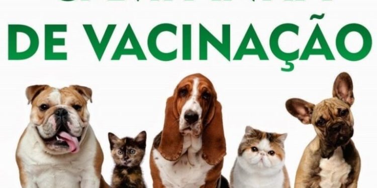 Vacinação antirrábica em Chapadão do Sul começa neste sábado com ações em três etapas