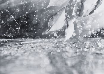 Previsão indica possibilidade de chuva preta em Mato Grosso do Sul