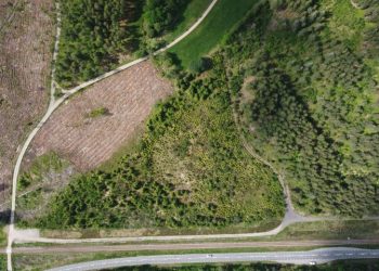 Desmatamento ilegal em Chapadão do Sul resulta em TAC de R$ 47 mil para fazendeiro