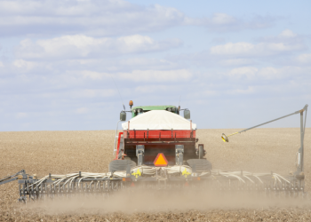 Plantio de soja avança lentamente no Brasil e espera por chuvas para deslanchar