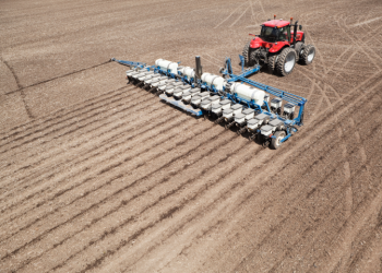 Plantio de soja avança lentamente no Brasil e espera por chuvas para deslanchar