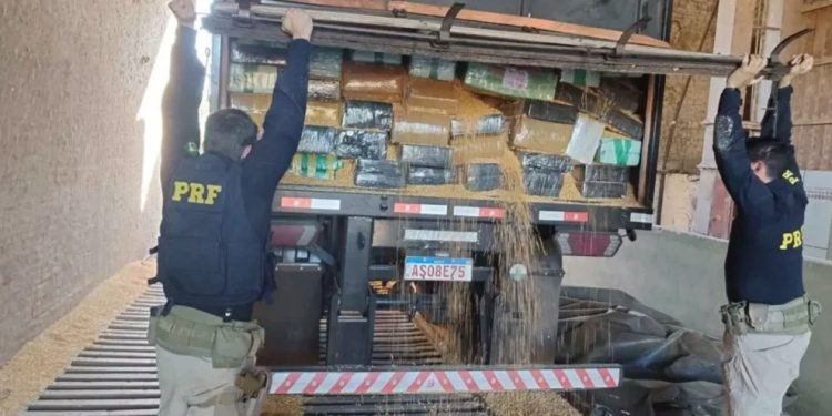 Operação conjunta da PRF e Polícia Civil resulta na maior apreensão de drogas no país