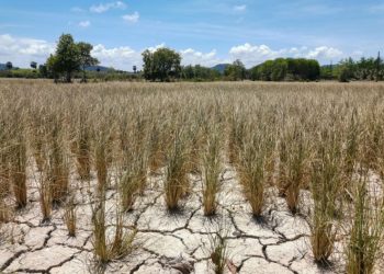 Onda de calor atinge MS com força; tempo seco persiste