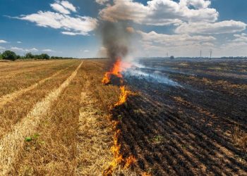 Onda de calor atinge MS com força; tempo seco persiste