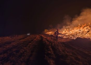 Incêndios no Pantanal de MS seguem ativos e mobilizam equipes de combate há quase 200 dias