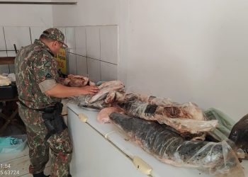 Operação Piracema intensifica combate à pesca ilegal em MS e apreende 270 kg de pescado