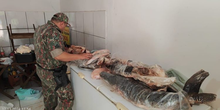 Operação Piracema intensifica combate à pesca ilegal em MS e apreende 270 kg de pescado