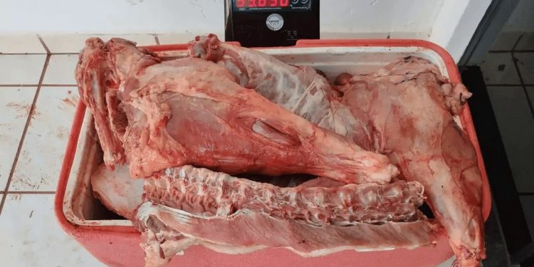 Homem é preso após tentativa de fuga com carne de animais silvestres em MS