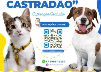 Meu Pet Castradão” retoma atividades hoje com foco na castração de 1.100 cães e gatos em Chapadão do Sul