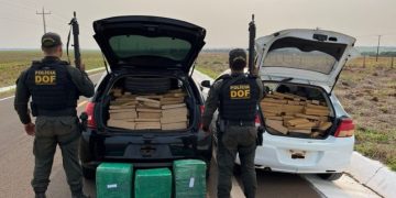 Mato Grosso do Sul tem aumento de 30% na apreensão de drogas