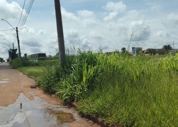 Prefeitura de Chapadão do Sul firma parceria para combate ao mato alto em áreas públicas