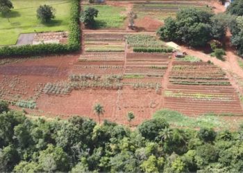Cinturão Verde implementa tecnologia para fortalecer agricultura familiar em Costa Rica