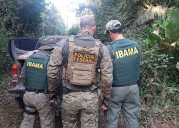 Ibama abre 460 vagas em concurso público para analistas