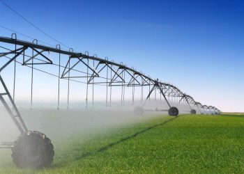 Mato Grosso do Sul recebe R$ 219,7 milhões do FCO para investimentos em setores rural e empresarial