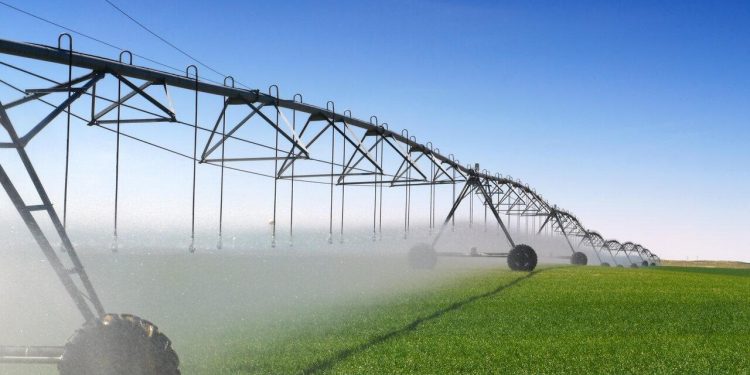 Mato Grosso do Sul recebe R$ 219,7 milhões do FCO para investimentos em setores rural e empresarial