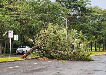 Chapadão do Sul enfrenta estragos após vendaval; prefeito Walter acompanha de perto as ações de recuperação