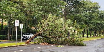 Chapadão do Sul enfrenta estragos após vendaval; prefeito Walter acompanha de perto as ações de recuperação