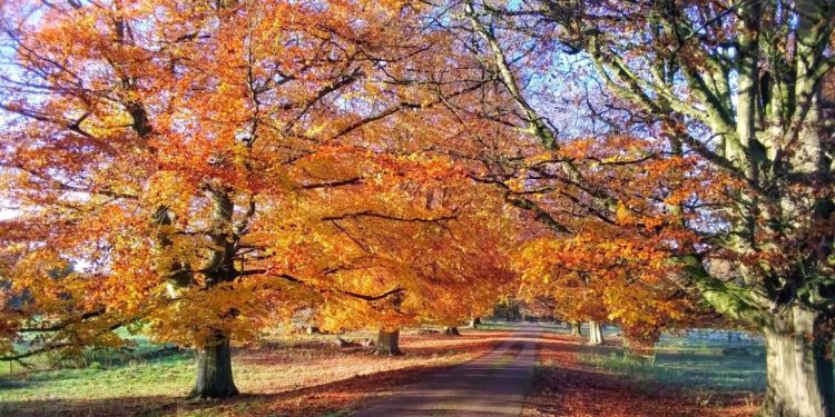Previsão indica outono mais quente e seco em Mato Grosso do Sul