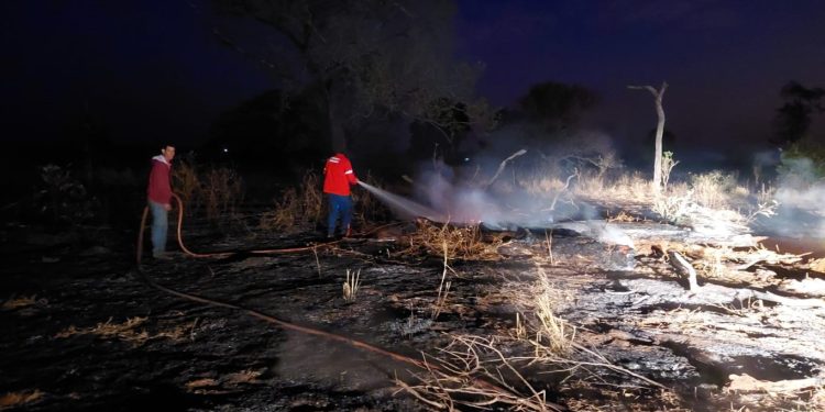 Bombeiros de Mato Grosso do Sul realizam treinamento sobre incêndios florestais em Alcinópolis