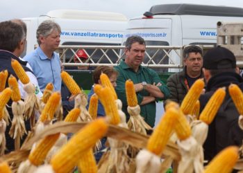 Governo de MS discute novas tecnologias e modelos para impulsionar produção de milho