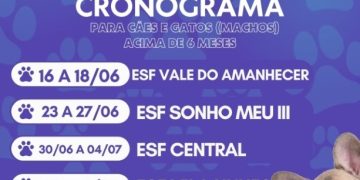 Costa Rica oferece castração gratuita para cães e gatos com Castramóvel