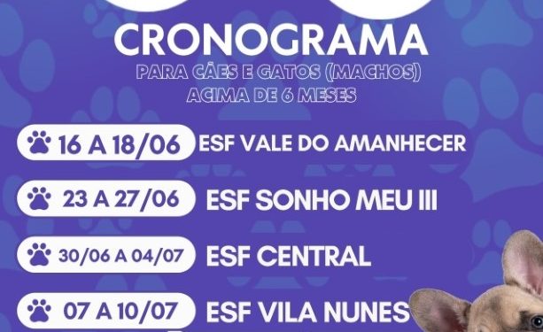Costa Rica oferece castração gratuita para cães e gatos com Castramóvel