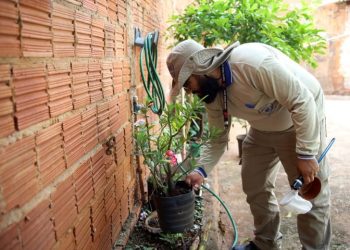 Saúde de MS mobiliza 8 mil agentes para debater atuação integrada no SUS