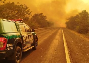 Estiagem leva PMA a intensificar combate ao fogo e aplicar multas milionárias