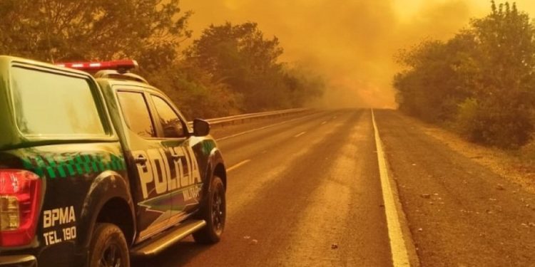 Estiagem leva PMA a intensificar combate ao fogo e aplicar multas milionárias