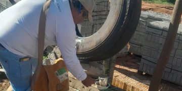 Após seminário, municípios de MS relatam impacto positivo das ovitrampas no controle das arboviroses