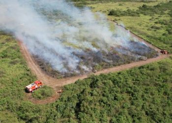 Governo de MS suspende queima controlada até novembro e amplia restrição no Pantanal para dezembro
