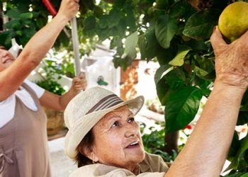 Fruticultura e ballet folclórico ganham status de utilidade pública em Costa Rica