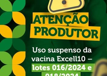 Produtores são notificados sobre suspensão preventiva da vacina Excell10