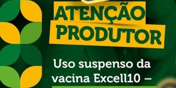 Produtores são notificados sobre suspensão preventiva da vacina Excell10