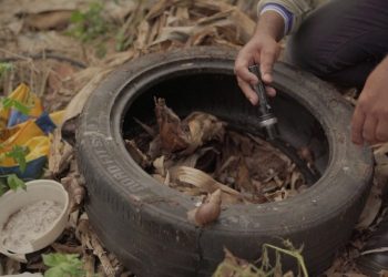 Boletim Epidemiológico: MS registra 8.252 casos confirmados de dengue