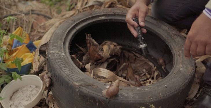 Boletim Epidemiológico: MS registra 8.252 casos confirmados de dengue