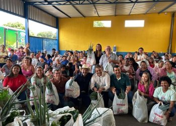 Programa de Aquisição de Alimentos atende 250 famílias com Cestas Verdes em Costa Rica