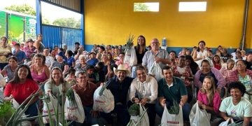 Programa de Aquisição de Alimentos atende 250 famílias com Cestas Verdes em Costa Rica